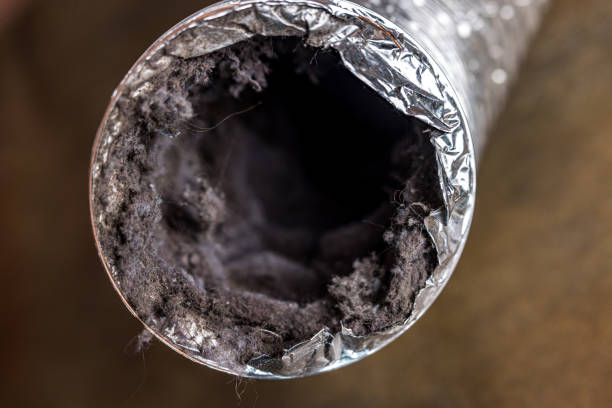 Best Affordable HVAC Duct Cleaning  in South Highpoint, FL