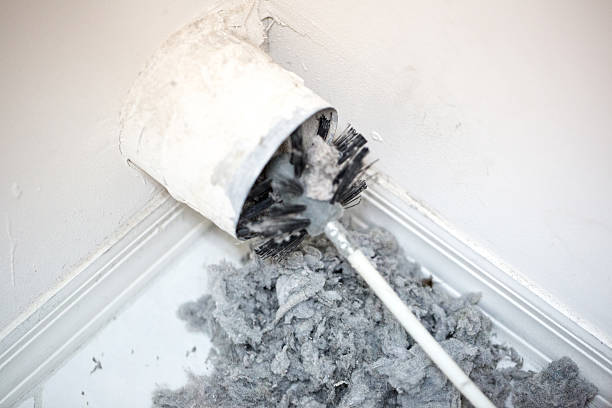 Best Professional Duct Cleaning Services  in South Highpoint, FL